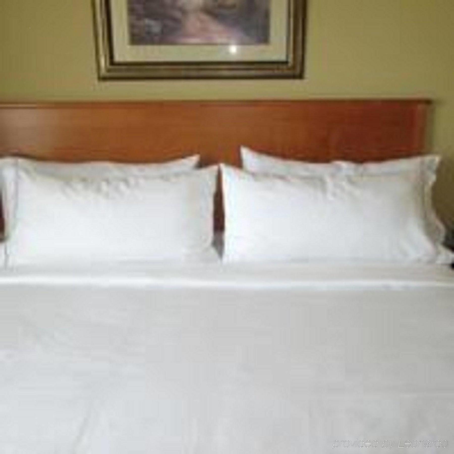Holiday Inn Express Hotel & Suites Chicago West Roselle By Ihg Buitenkant foto