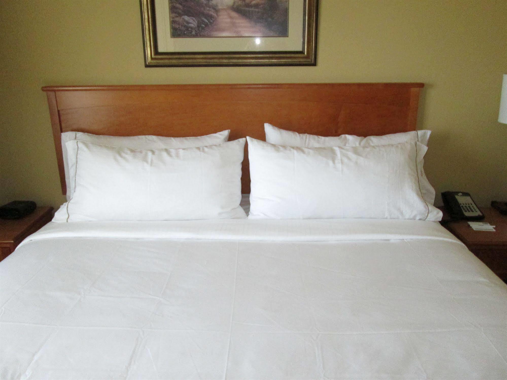 Holiday Inn Express Hotel & Suites Chicago West Roselle By Ihg Buitenkant foto